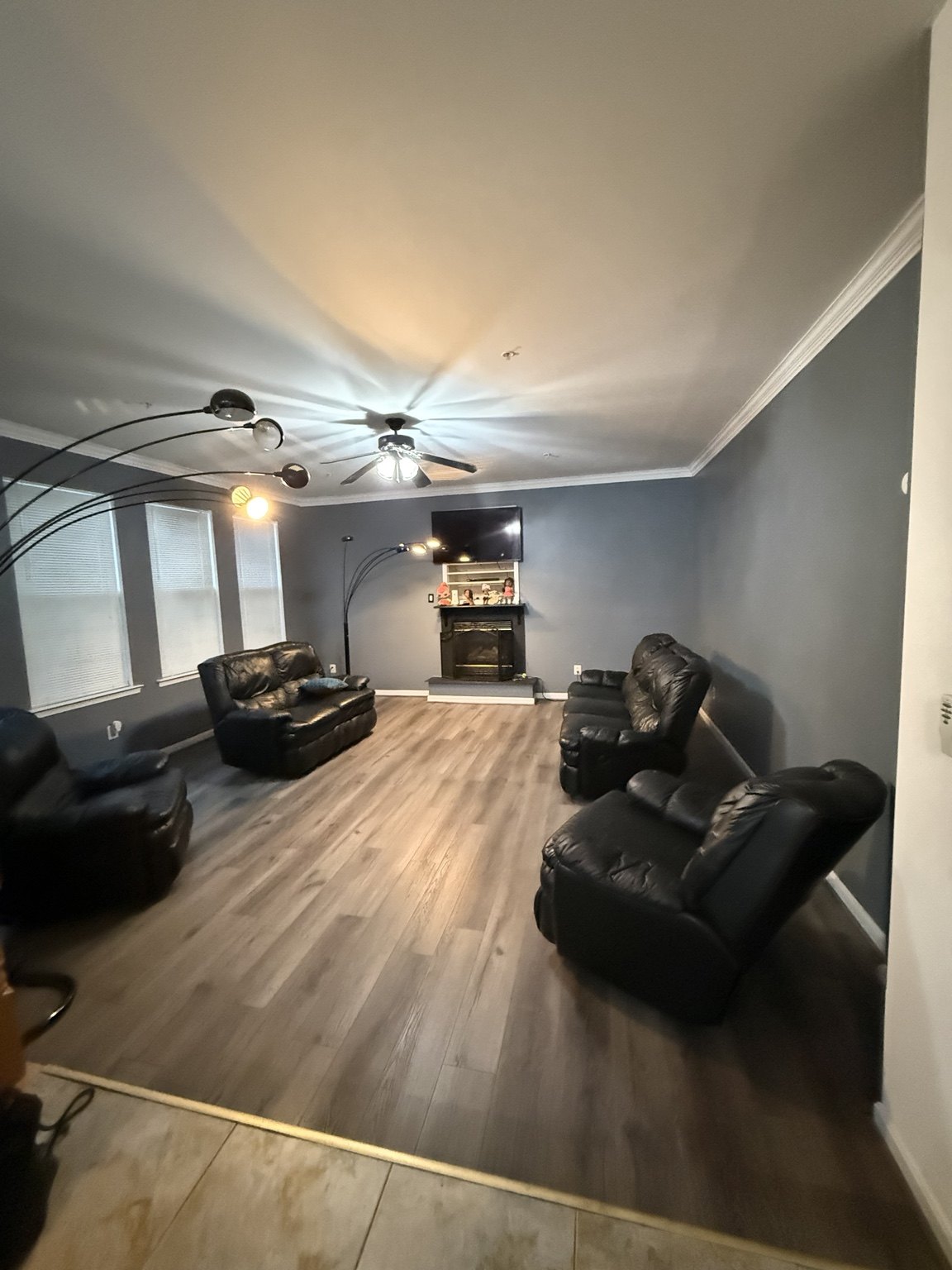 Modern Gray LVP Living Room