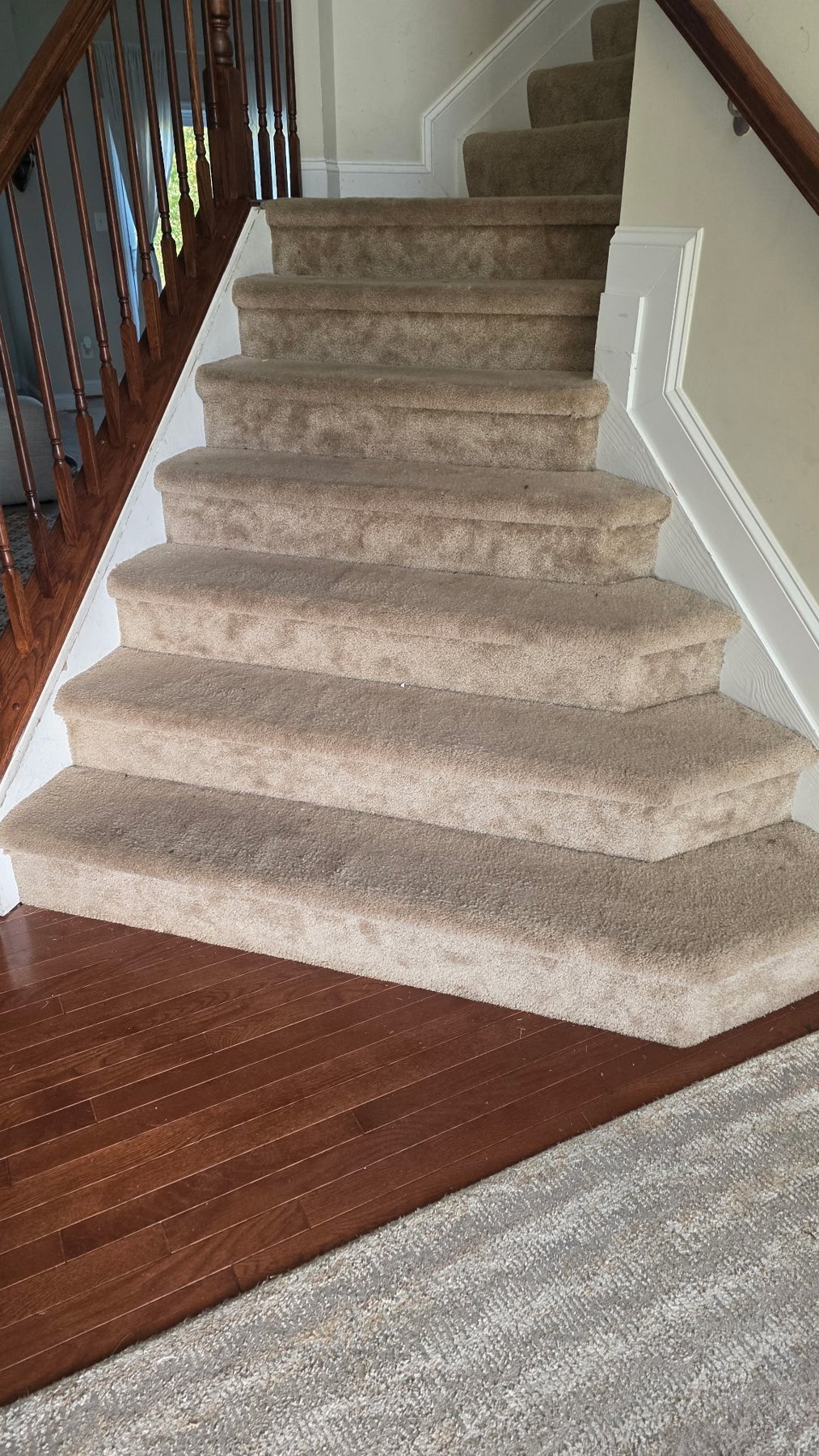 Before: Carpeted Stairs